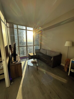 TV - Beautiful Apartment in the Heart of Toronto (Toronto)