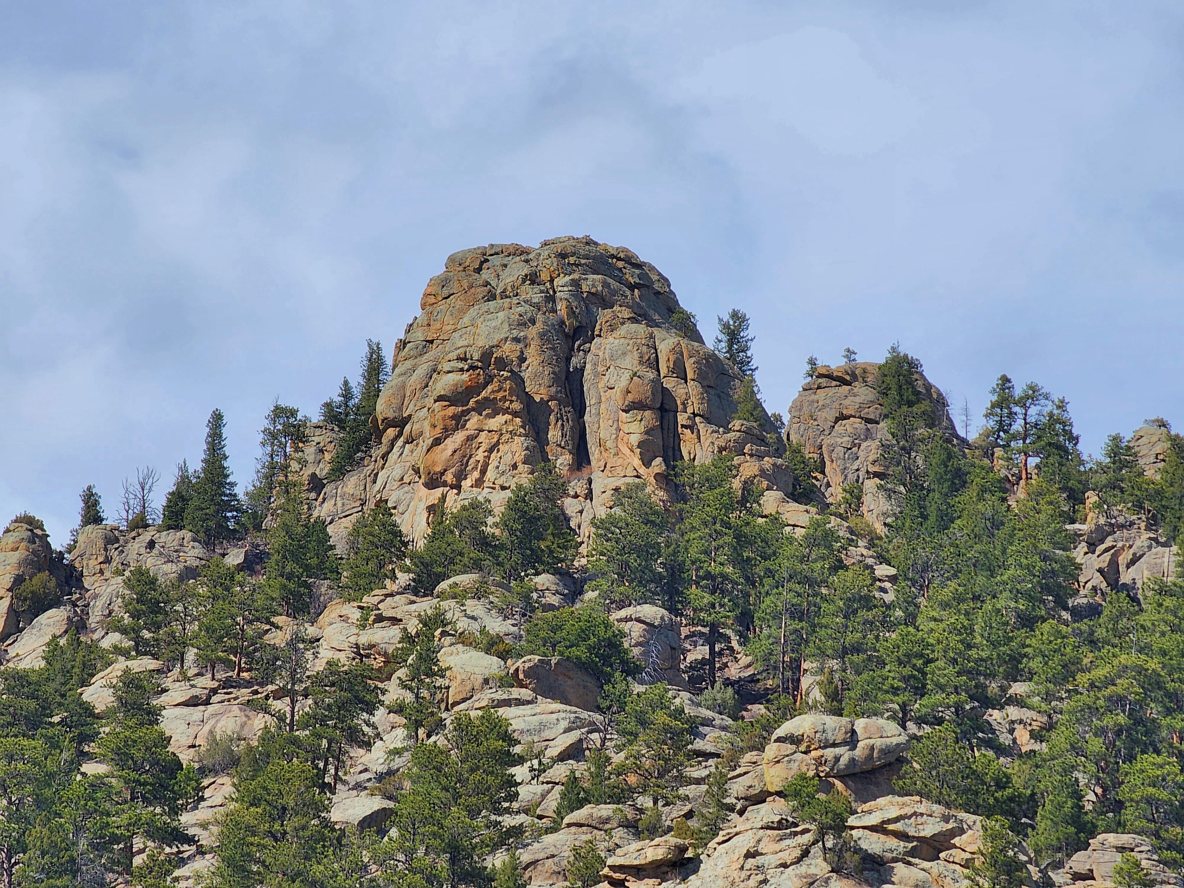 A rugged mountain landscape with rocky outcrops and dense clusters of green trees.