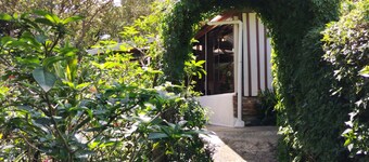 Mountain view Monteverde, Cecropia Paradise<br>