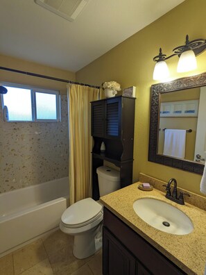 Hair dryer, towels, soap, shampoo