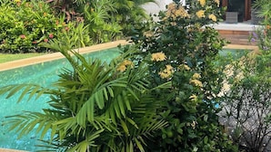 A modern two-story house with a swimming pool surrounded by lush greenery and tropical plants. - Villa Zafiro: Luxurious private villa & pool - steps from gorgeous beaches! (Playa Langosta)