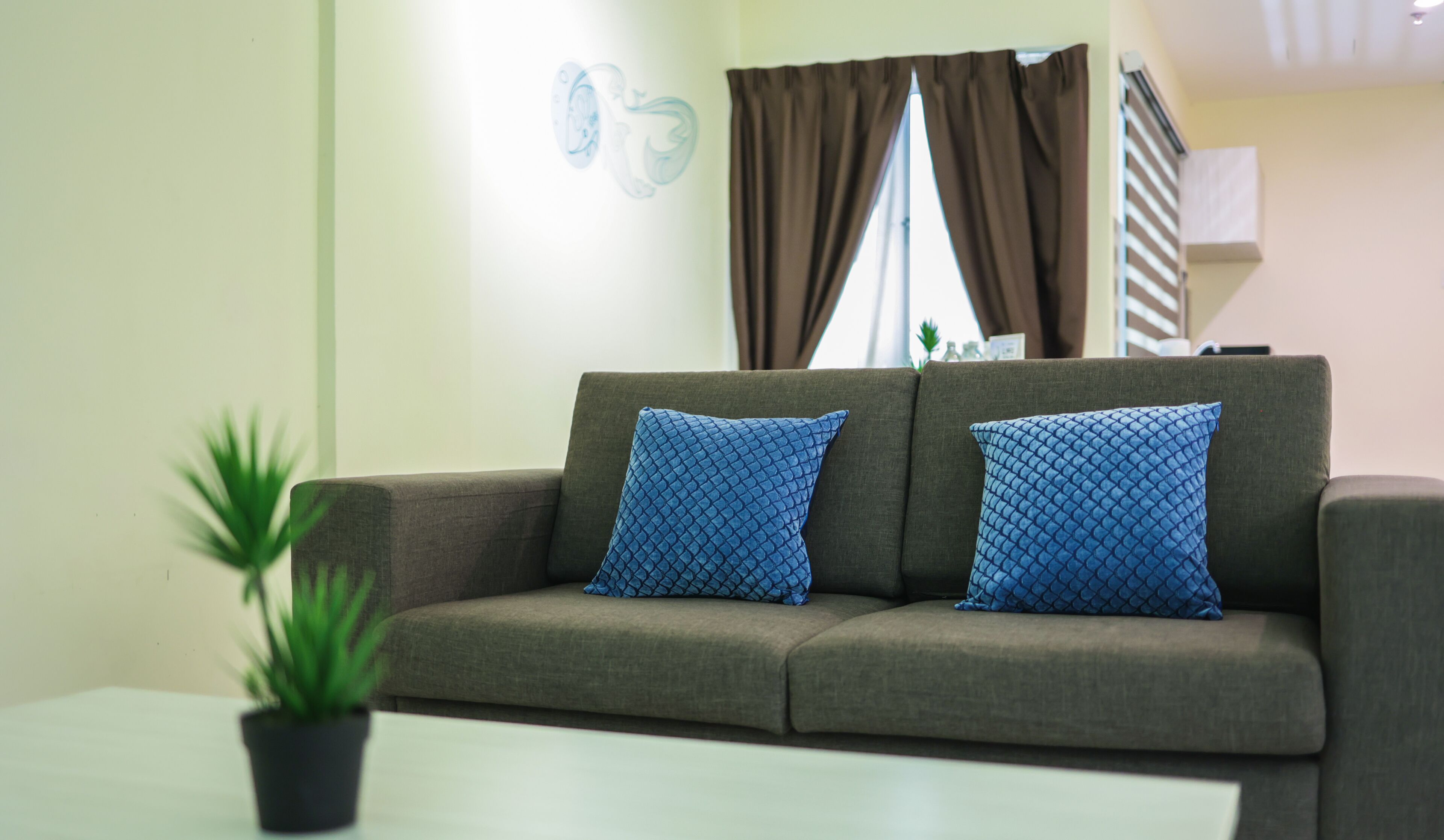 A living room with a sofa, two blue patterned cushions, a small potted plant, and a window with curtains.