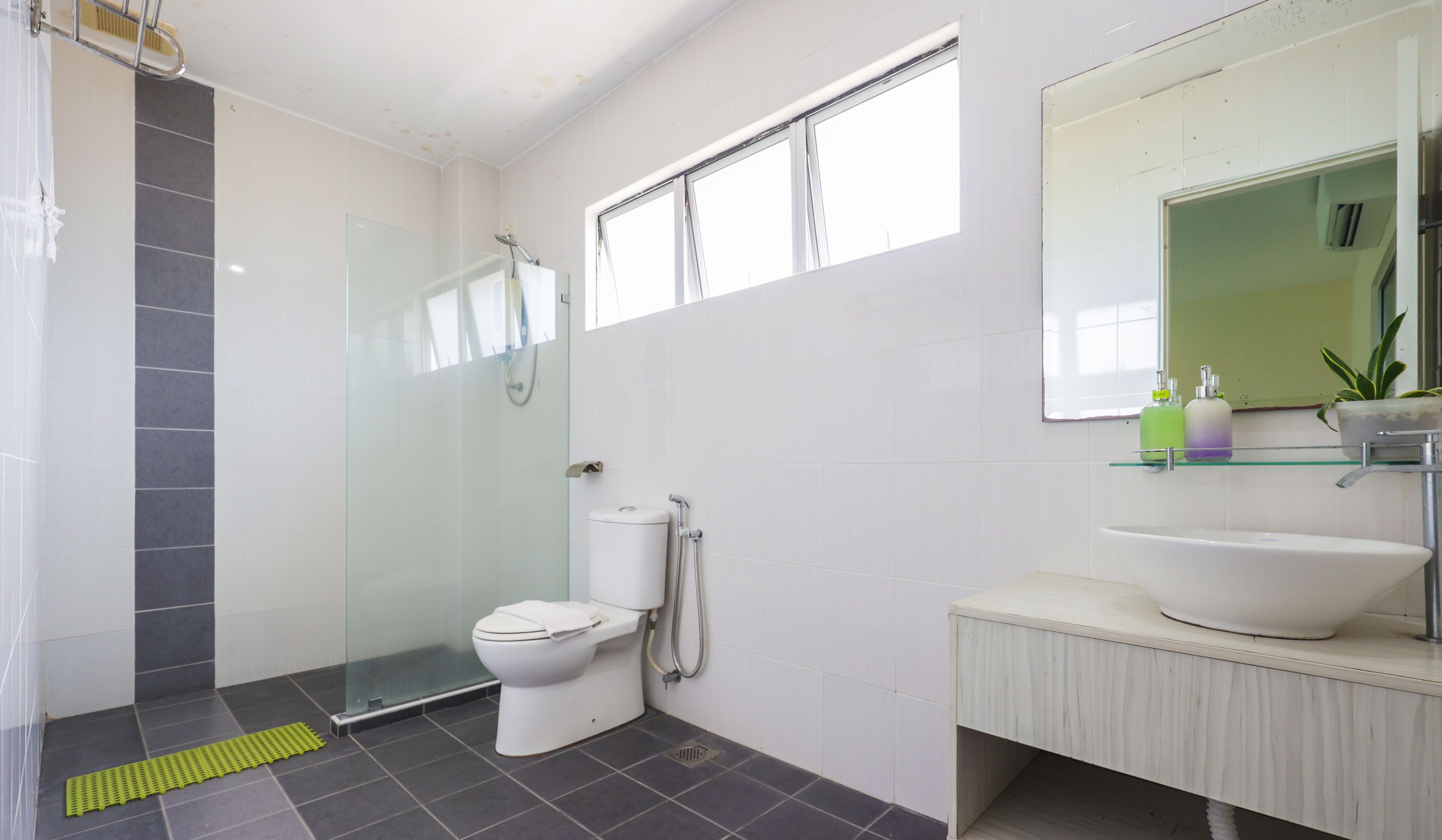 A modern bathroom with a glass shower enclosure, a white toilet, and a sink with a mirror above it.