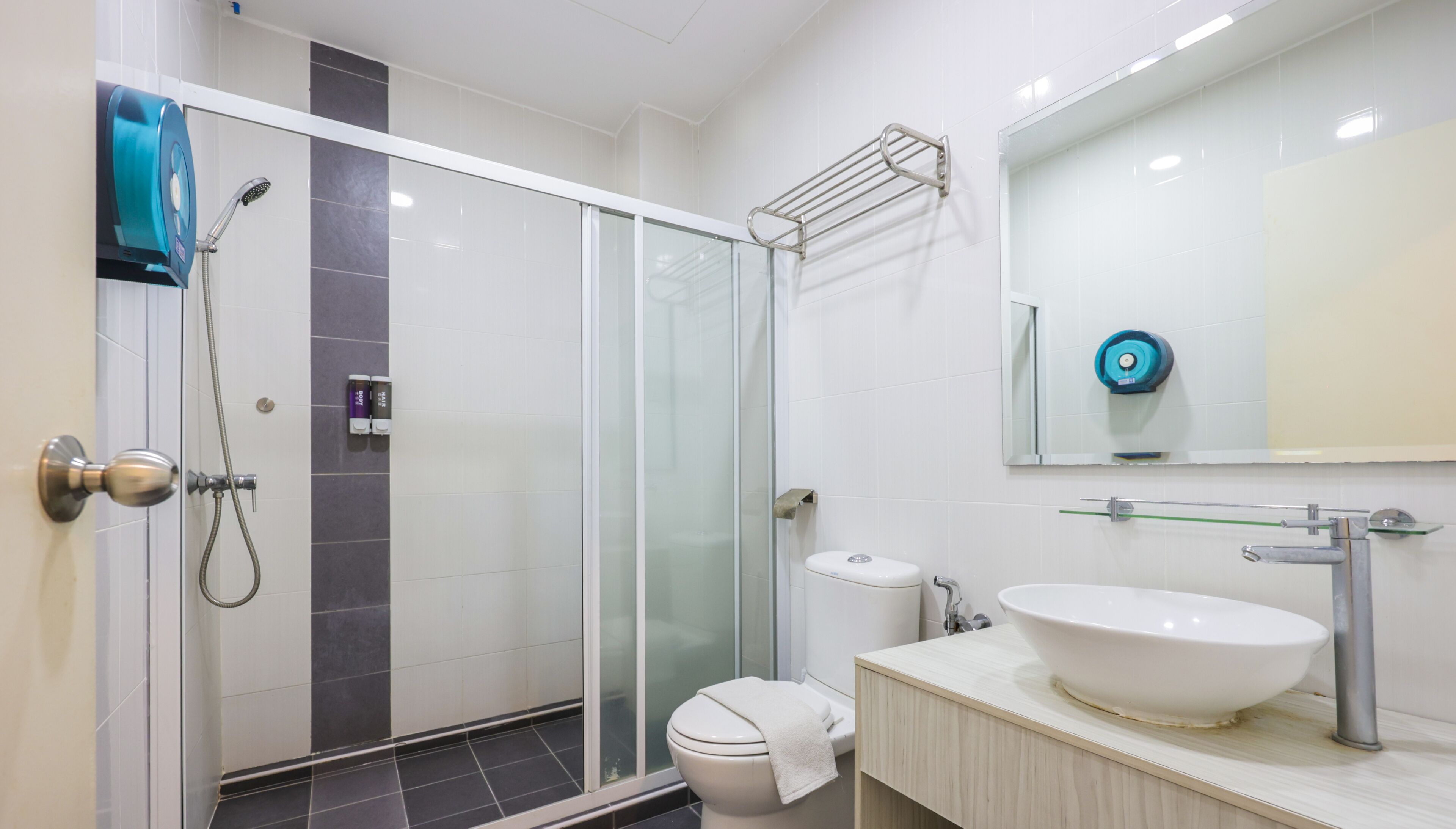 A modern bathroom with a glass shower enclosure, a toilet, a sink with a mirror above it, and a towel rack.