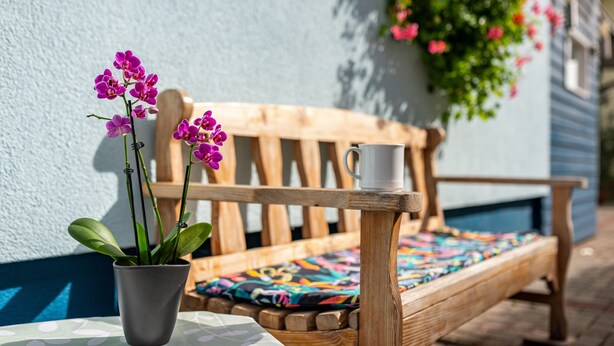 Un banco de madera con un cojín colorido, una planta en maceta gris con flores moradas y una taza blanca sobre el banco.
