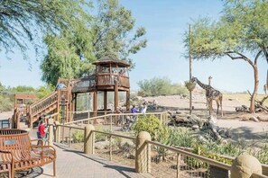 Explore the savannah from our observation tower, overlooking a giraffe enclosure with a paved walkway and benches.