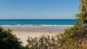 Ein Strand mit klarem, blauem Wasser, sandigem Ufer und etwas Grün im Vordergrund.