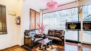 Una sala de estar moderna con un sofá de cuero, una mesa de centro de vidrio y una planta decorativa.