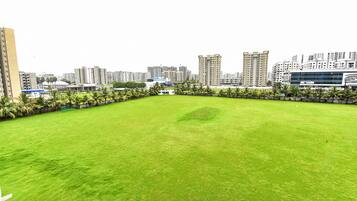 Garden view