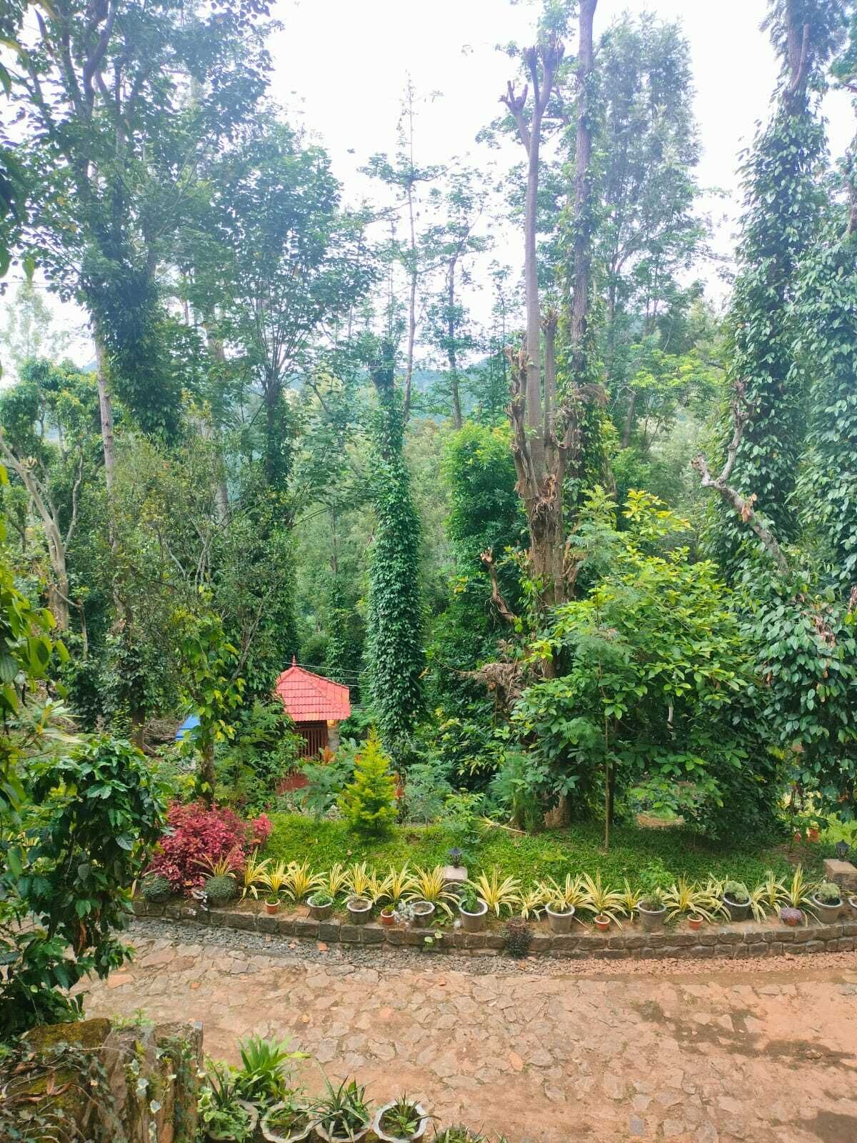 Jardines del alojamiento