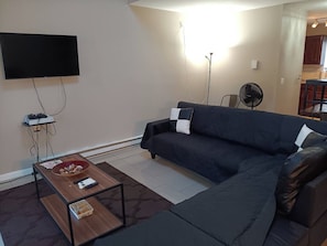 Fernseher, Kamin