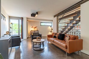 TV connectée, cheminée, lecteur de DVD, livres