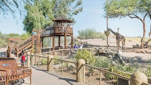 Una torre di osservazione in legno con una piattaforma panoramica, circondata da un'area recintata con panchine e un recinto per giraffe.