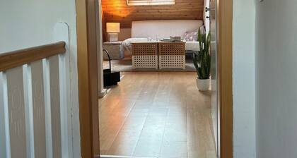 1 bedroom apartment in nidda