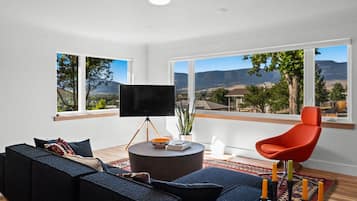 Smart TV, fireplace, books