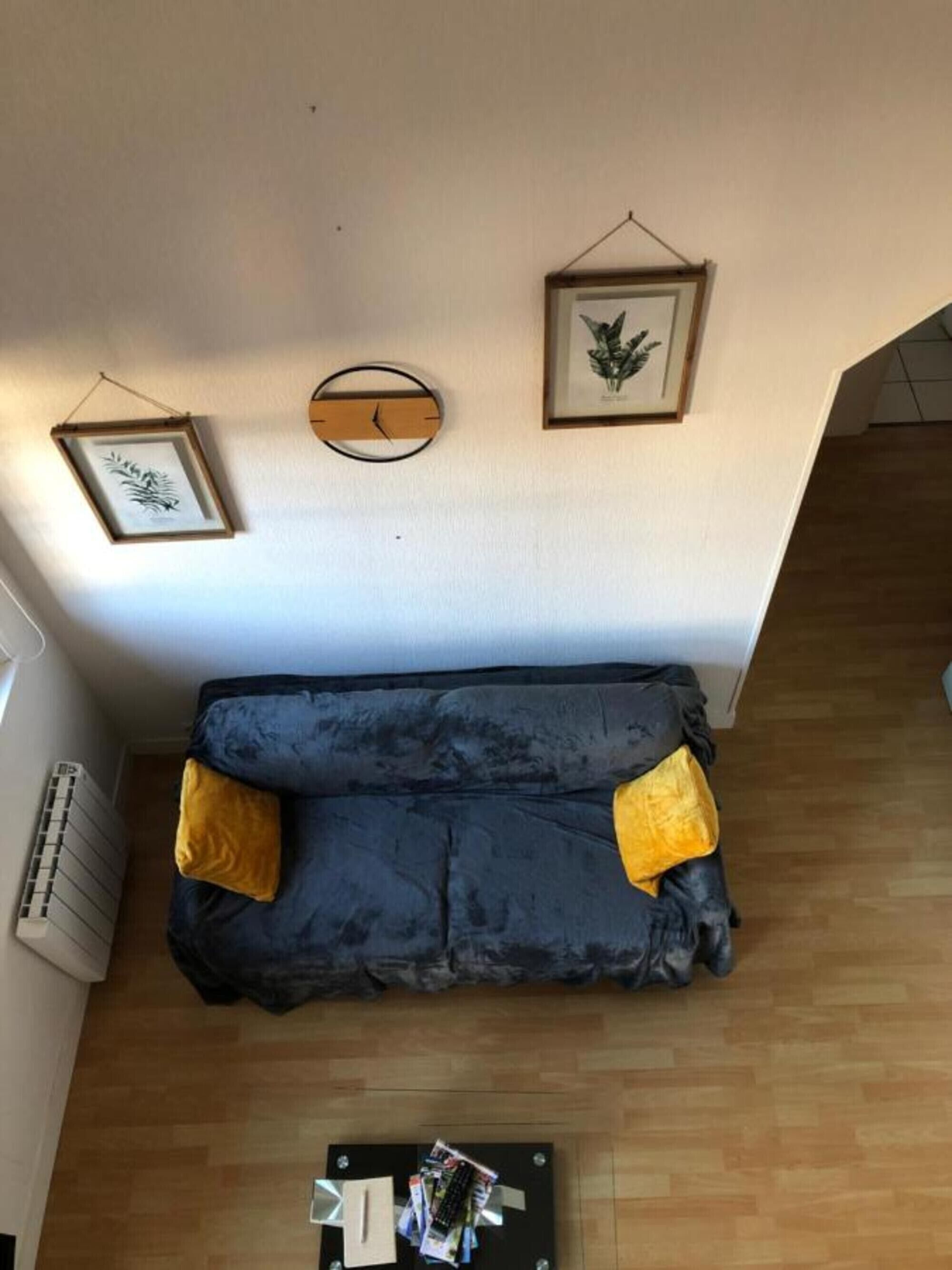 电视、DVD 播放器