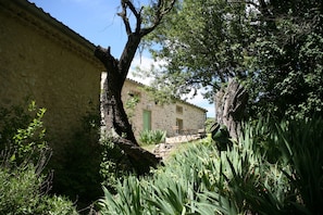 Un bâtiment en pierre avec une porte verte, entouré d’une végétation luxuriante et d’un arbre.