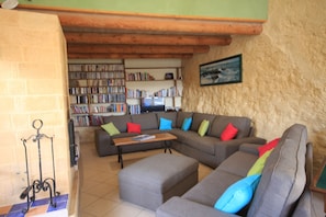 Télévision, cheminée, lecteur de DVD, table de tennis de table