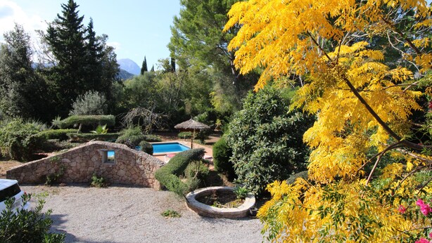 Un jardin aménagé avec une piscine, des murs en pierre et divers arbres, dont un avec des feuilles jaunes.