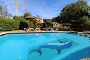 Outdoor pool - Can Gato den Vives (Pollensa)