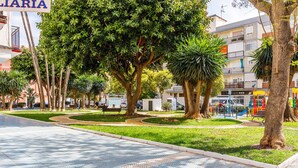 A paved pedestrian area with trees, a bench, and a playground.