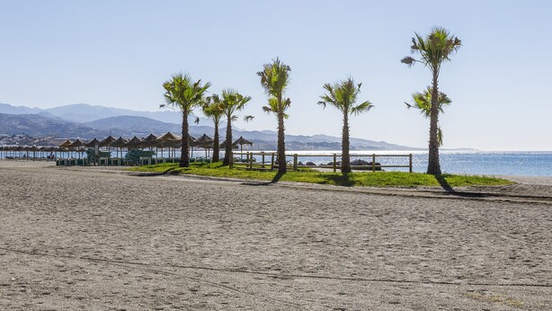 Ein Strand mit Palmen, einem Holzzaun und einer Reihe von strohgedeckten Gebäuden.