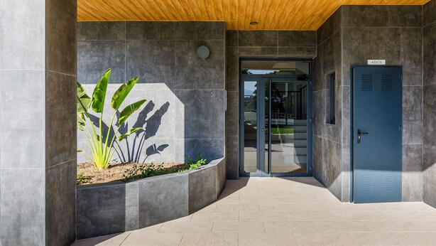Une entrée moderne avec une porte bleue portant l’inscription « ASEOS », un mur en béton agrémenté d’une plante et un plafond en bois.
