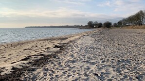 A sandy beach with a calm sea and a line of trees in the background. - 2 Houses In One I Family Friendly I Kids I Sauna I Beach I Large Garden (Haderslev)