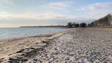 Hytte - 4 soveværelser - terrasse - udsigt til have | Udendørsområde