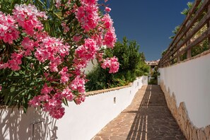 Lägenhet - 2 sovrum - uteplats | Boendeområde