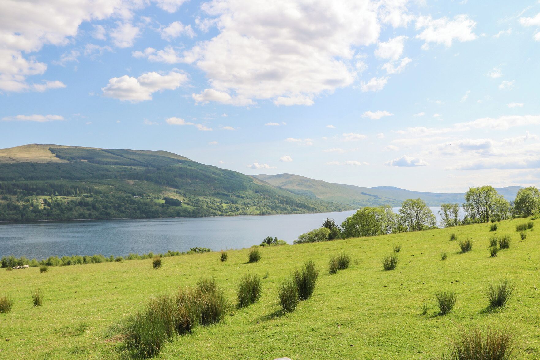 Una vista panorámica de un lago rodeado de colinas verdes y un cielo despejado.
