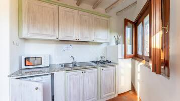 Apartment, 1 Bedroom, Balcony | Private kitchen