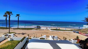 Blick auf einen Strand mit einem weißen Gebäude, Palmen und Sand.