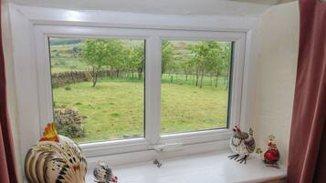Una ventana con vistas a un campo cubierto de hierba y árboles, una rejilla de ventilación debajo, y gallinas decorativas en el alféizar.