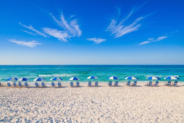 A beach with rows of blue and white beach chairs and umbrellas, a clear sky, and calm ocean waves.