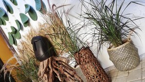 Potplanten met verschillende texturen en vormen, waaronder een geweven mand en een cilindrische pot.