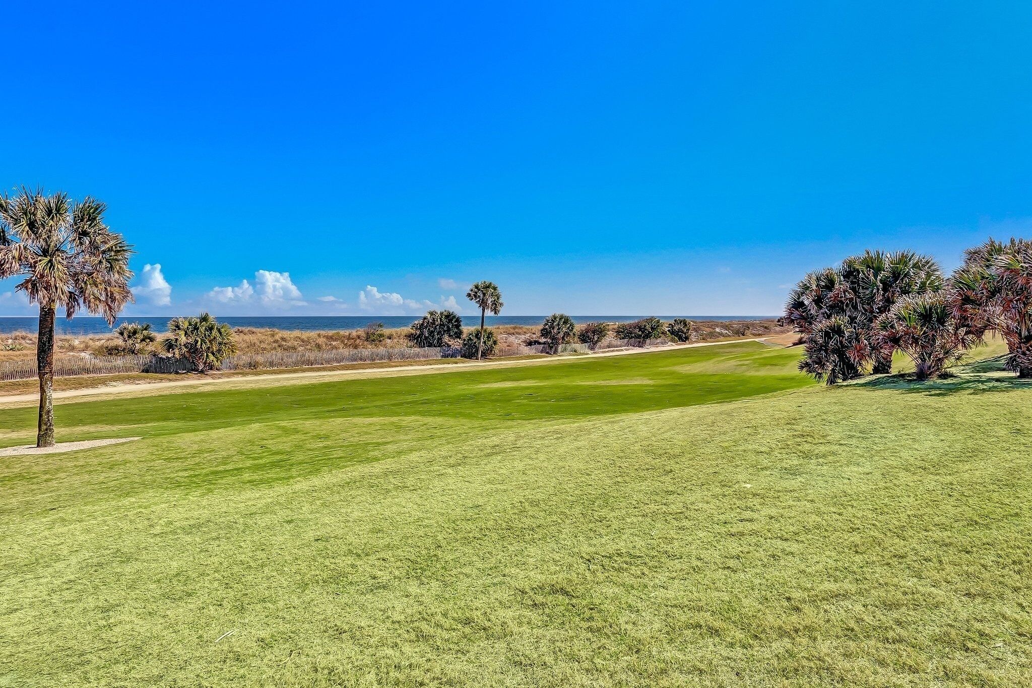 A golf course with a clear sky, green grass, and scattered palm trees.