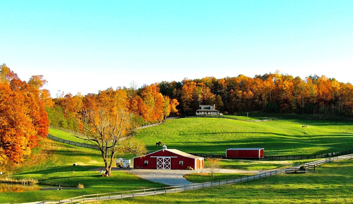 オーナーのプロフィール画像