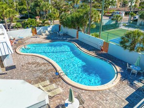 A swimming pool with lounge chairs and umbrellas, surrounded by palm trees and a brick patio. - Crescent Arms by Beachside Management (Siesta Key)