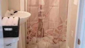 Douche, serviettes fournies, savon, papier toilette