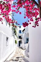 Una calle estrecha con edificios blancos y flores de buganvilla rosadas.