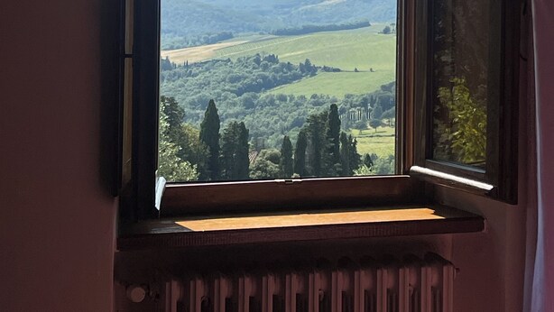 Finestra amb vista a un paisatge verd, incloent arbres i línies de colls a la distància.