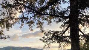 A deck with two wooden chairs facing a scenic view of a lake and mountains. - Big Mountain Treehouse!  Beautiful cabin home w/ SPECTACULAR views of Lake (Whitefish)