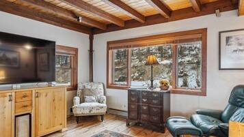 Älytelevisio, takka, DVD-soitin, kirjoja