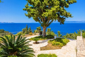 A stone pathway leading to a large tree with a view of the sea.