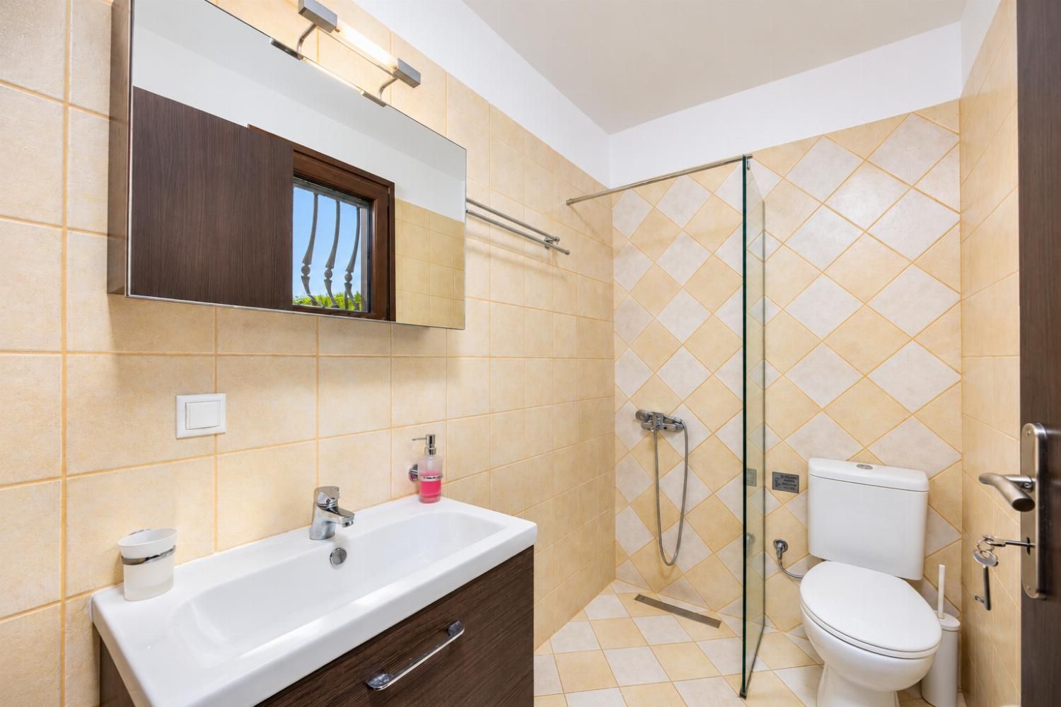 Een badkamer met een douche, toilet, wastafel en een spiegel boven de wastafel.