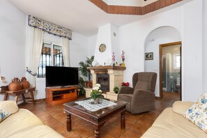 TV, fireplace, books