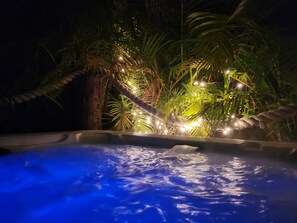 Outdoor spa tub - House with outside Caribbean Hot-tub, Tiki Bar & Patio, Pet friendly. (Punta Gorda)