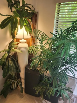 En hörna med en lampa, stora krukväxter och ett fönster med persienner.