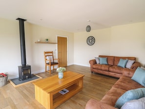 Fireplace - Awel y Bryn (Rhayader)